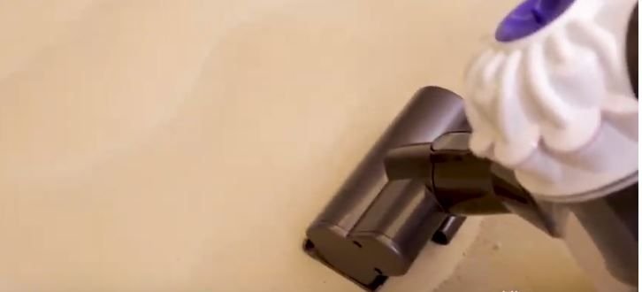 Can Bed Bugs Live On Air Mattress